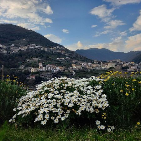 La Margherita Fiorita Ravello Eksteriør bilde