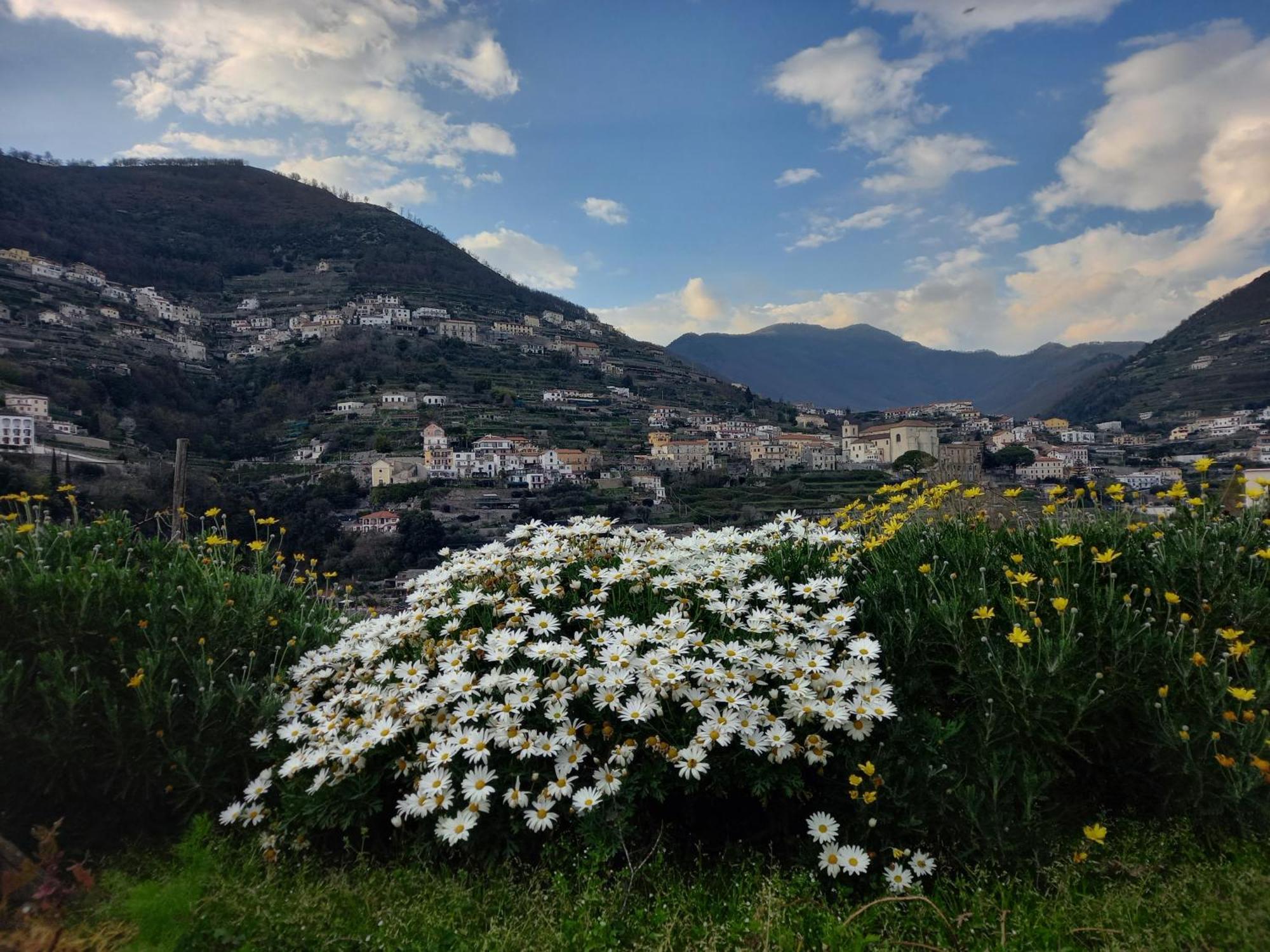 La Margherita Fiorita Ravello Eksteriør bilde